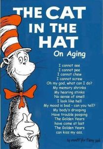 cat in the hat poem