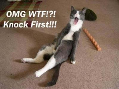 Omg Knock First